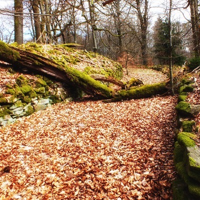 Ringkopf mit keltischer Wallanlage